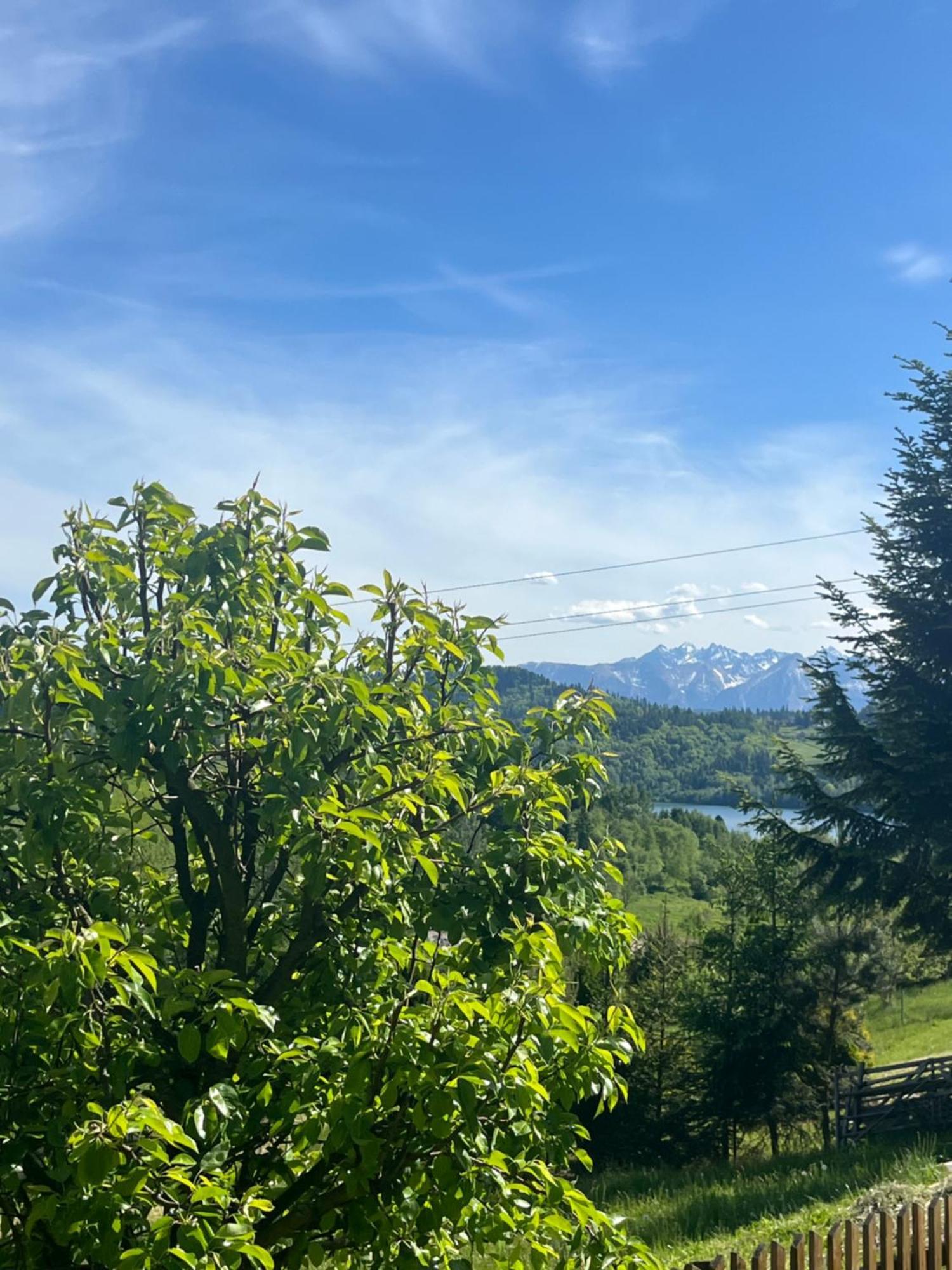 Agroturystyka U Ireny Mizerna Dış mekan fotoğraf